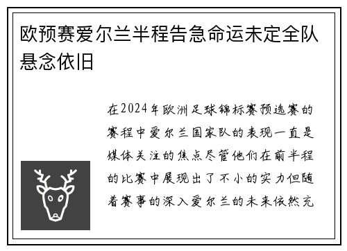 欧预赛爱尔兰半程告急命运未定全队悬念依旧