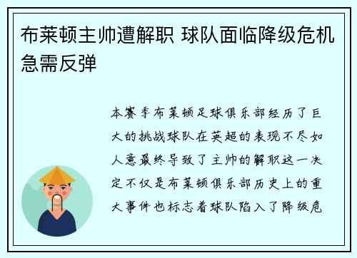 布莱顿主帅遭解职 球队面临降级危机急需反弹