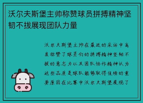 沃尔夫斯堡主帅称赞球员拼搏精神坚韧不拔展现团队力量
